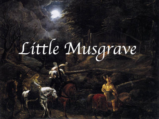 Little Musgrave
