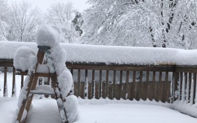 The March Snow